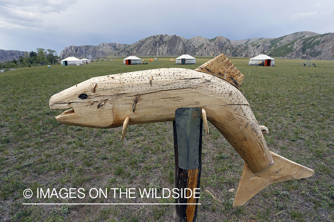 Taimen wood carving by ger camp.