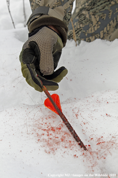 Archery hunter with passed-through arrow.  