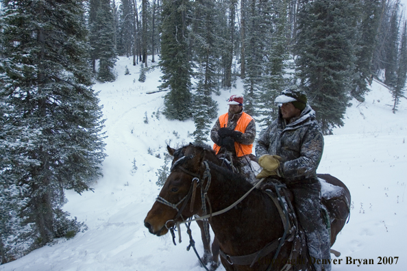 Elk hunters on horseback in woods.