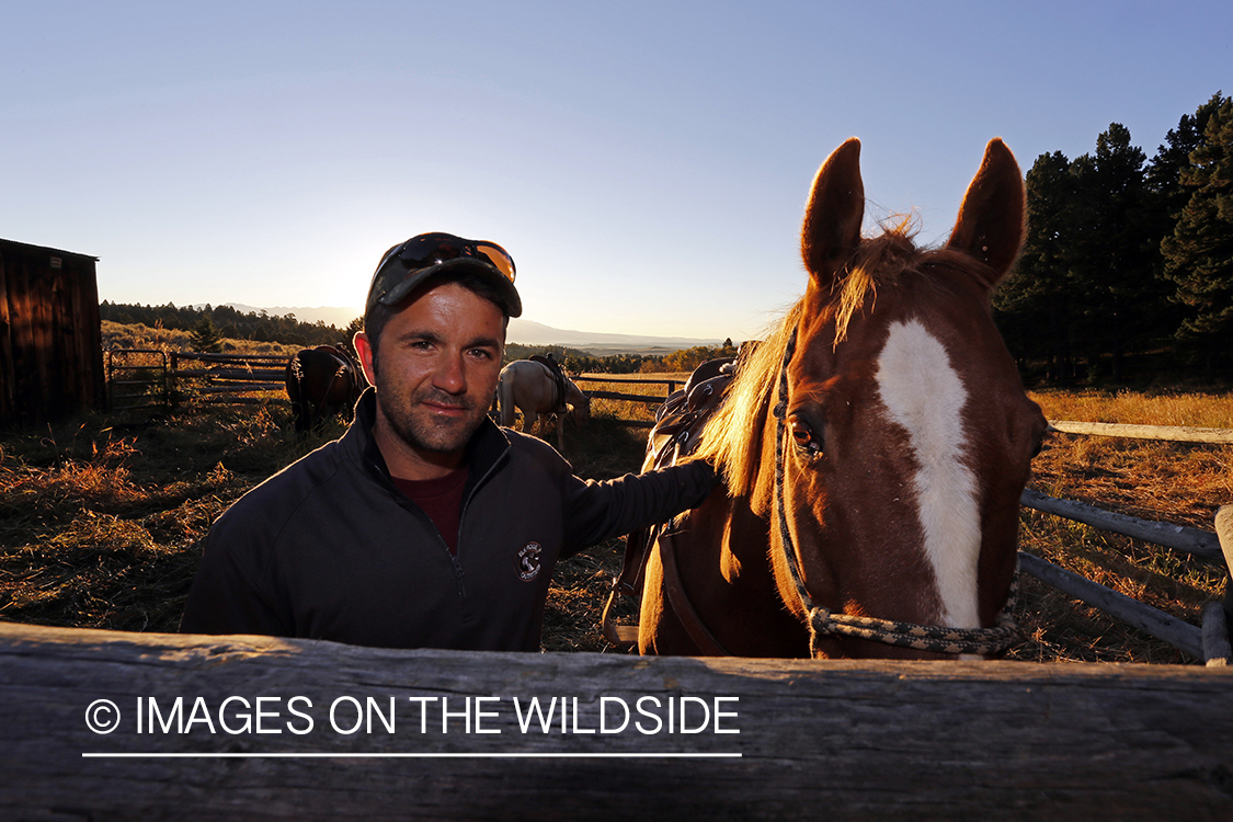 Trail horses with bowhunter at elk hunting campsite.