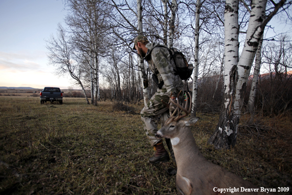 Bowhunter with bagged whitetail buck.