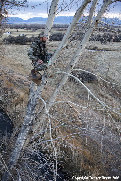 Bowhunter sitting in tree stand.