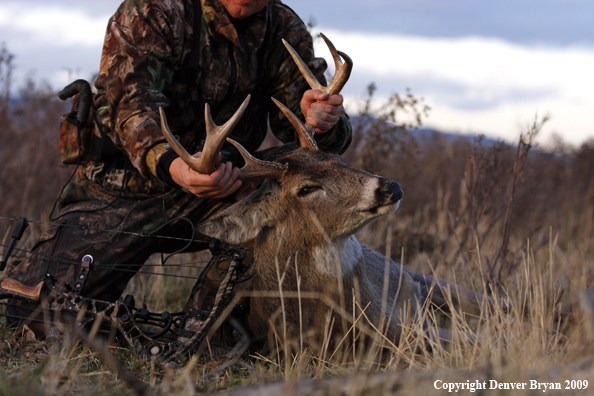 Bowhunter with whitetail buck kill.