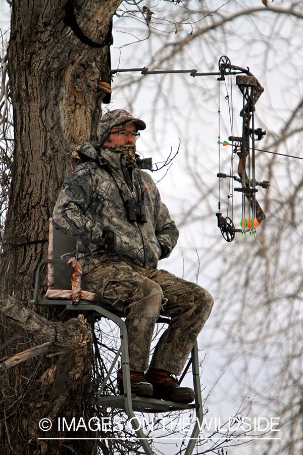 Bowhunter in tree stand.