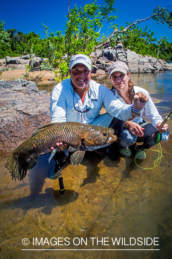 Flyfisherman with wolf fish on river in Kendjam region, Brazil