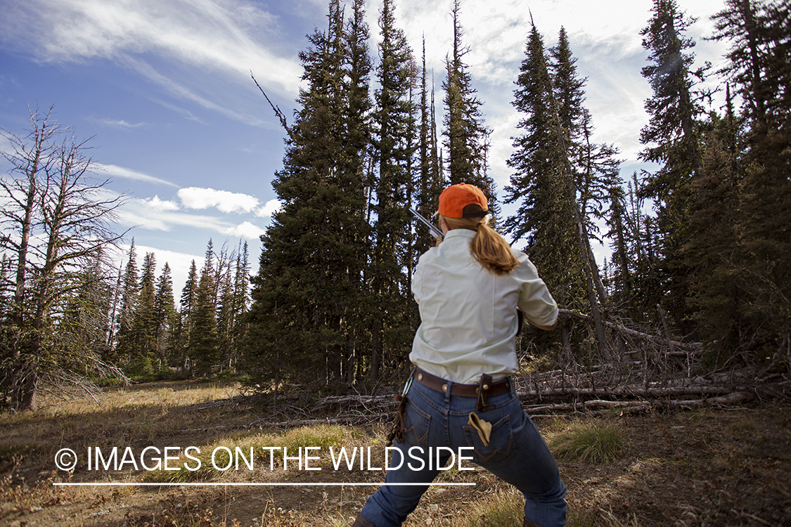 Upland game bird hunter shooting at Dusky (mountain) grouse.