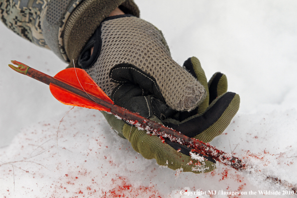 Archery hunter with passed-through arrow. 