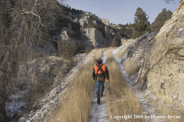 Big game hunter walking down jeep trail.