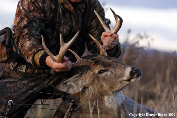 Bowhunter with whitetail buck kill.