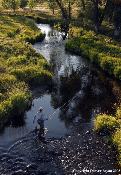 Flyfisherman fishing stream