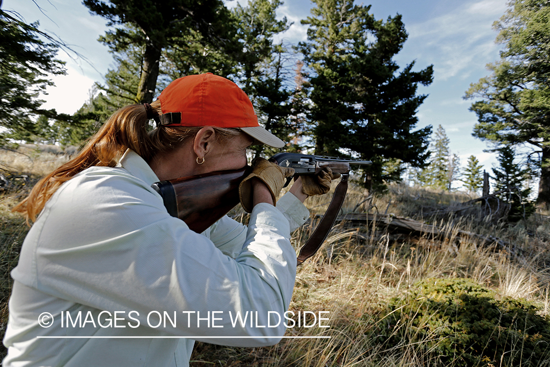 Upland game bird hunter shooting at Dusky (mountain) grouse.