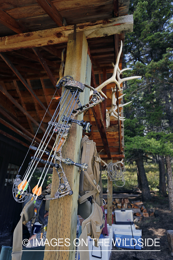 Elk hunting campsite.