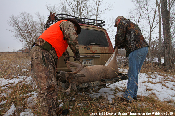 Hunters with downed buck.  