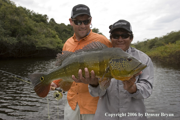 Fisherman holding Peacock Bass
