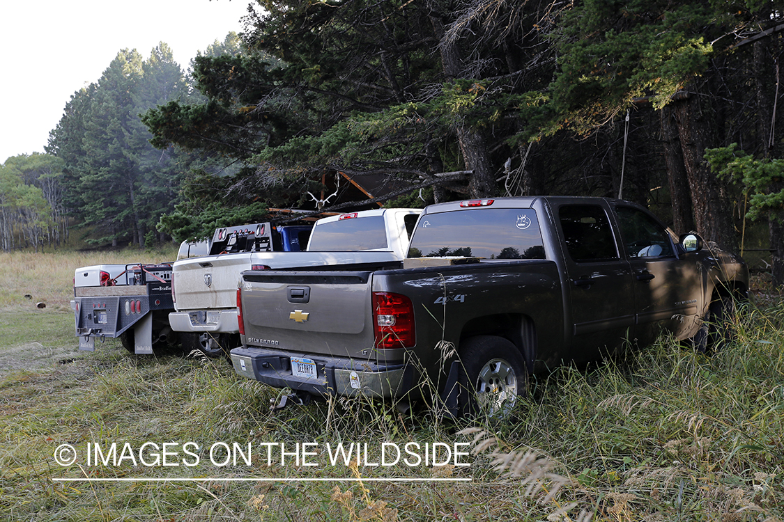 Elk hunting campsite.