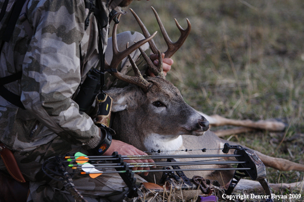 Bowhunter with bagged whitetail buck.