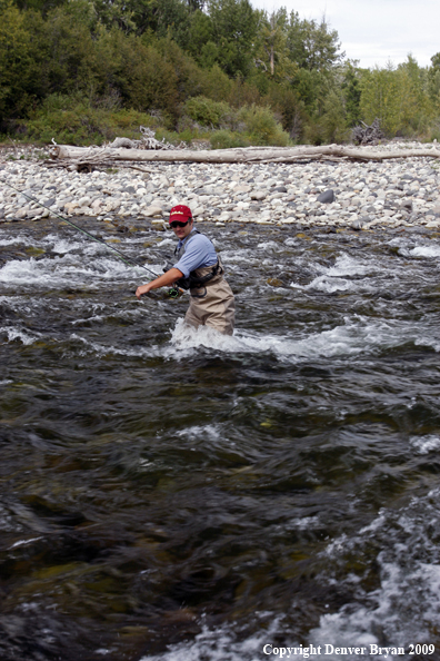 Flyfisherman crossing river