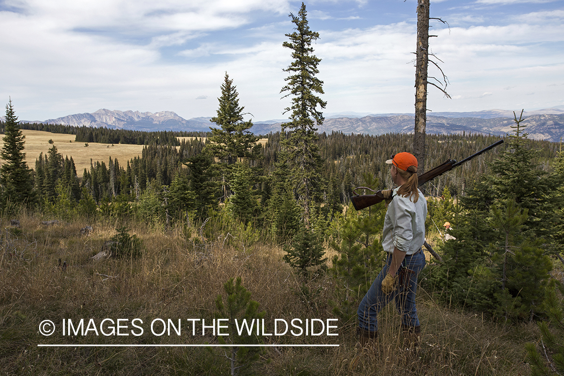 Upland game bird hunter in field hunting Dusky (mountain) grouse.