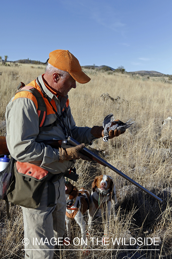 Hunter with bagged Mearns quail.