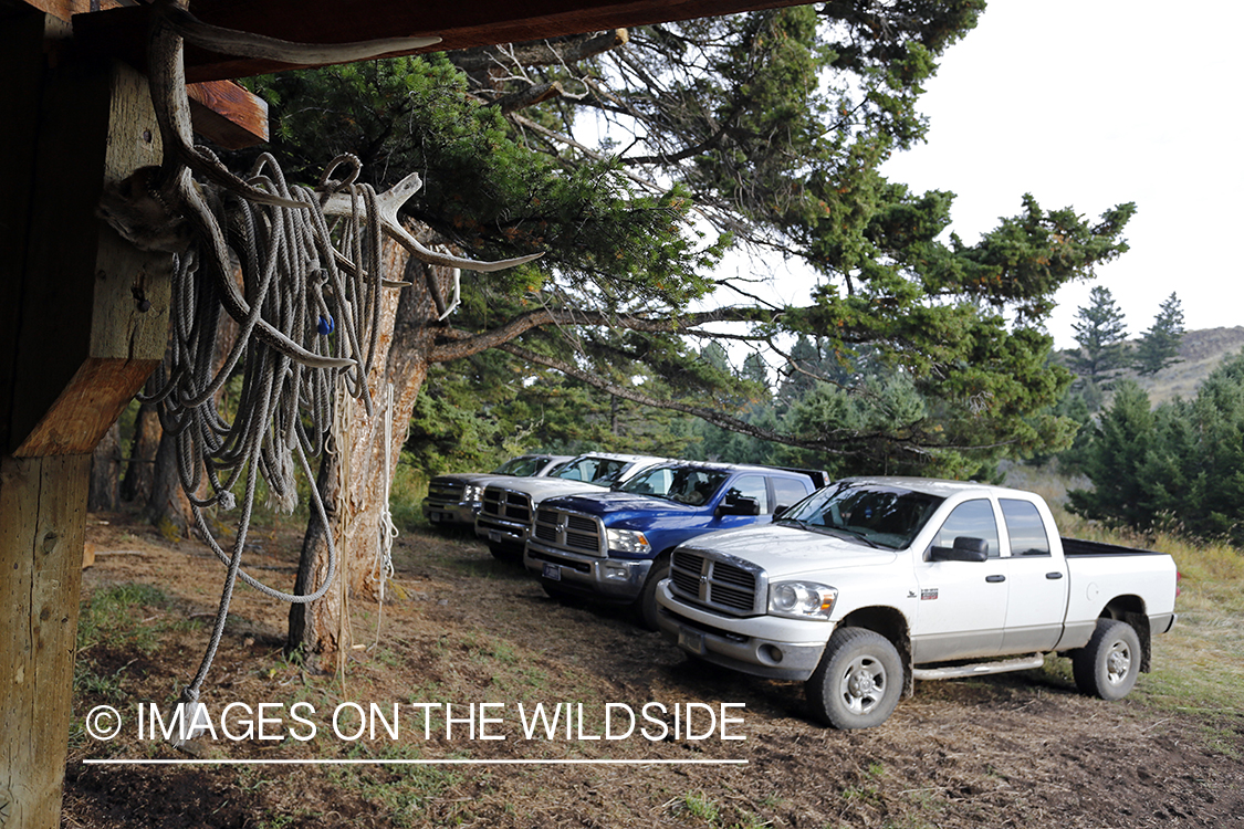 Elk hunting campsite.