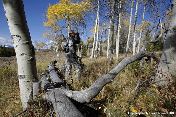 Bow Hunter Scouting For Big Game