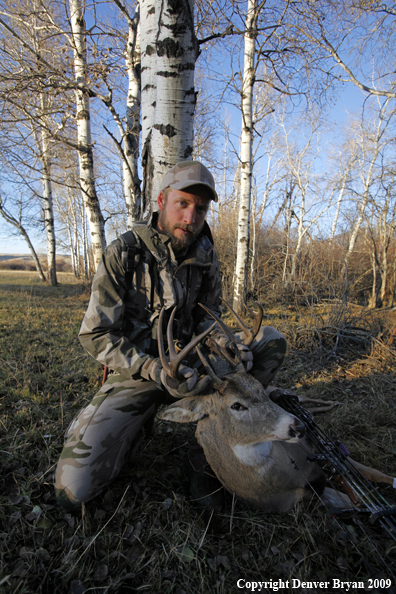 Bowhunter with bagged whitetail buck.