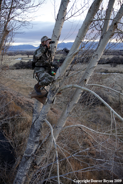 Bowhunter glassing the area from tree stand.