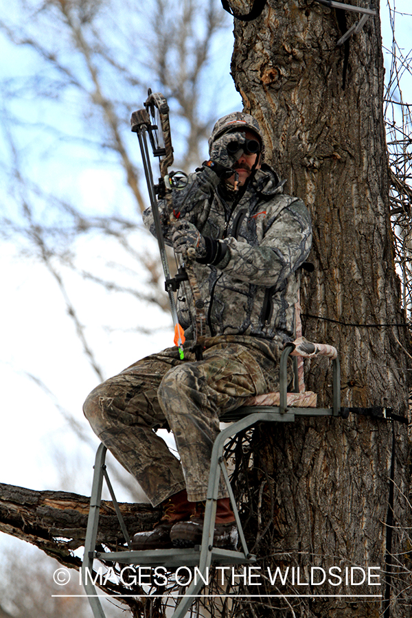 Bowhunter in tree stand glassing.