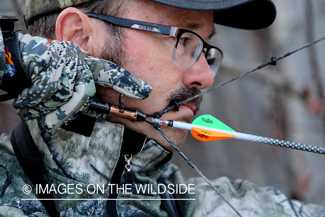 Bow hunter shooting arrow using arrow release attached to string.