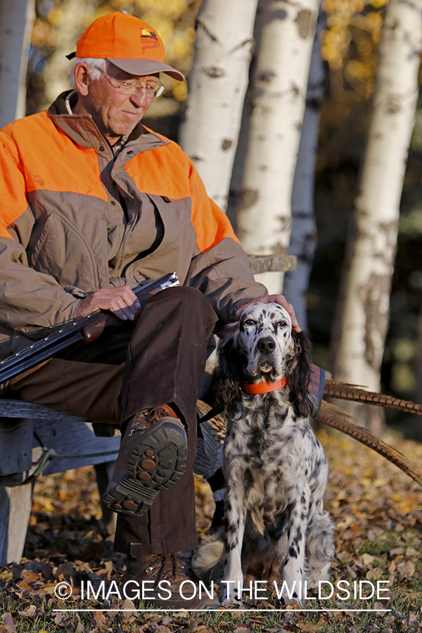Hunter with English Setter in autumn.