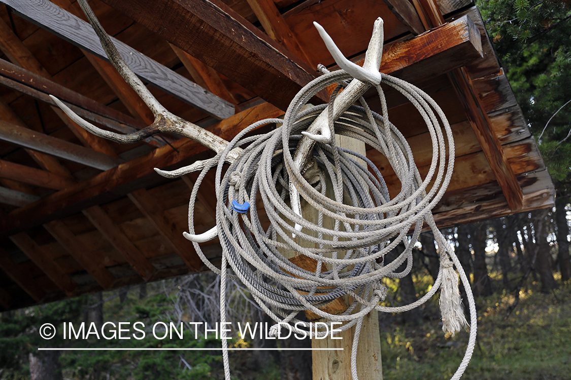 Elk hunting campsite.