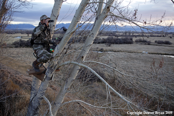 Bowhunter glassing the area from a tree stand.