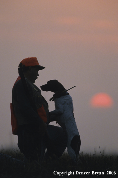 Upland game bird hunter with dog at sunset.