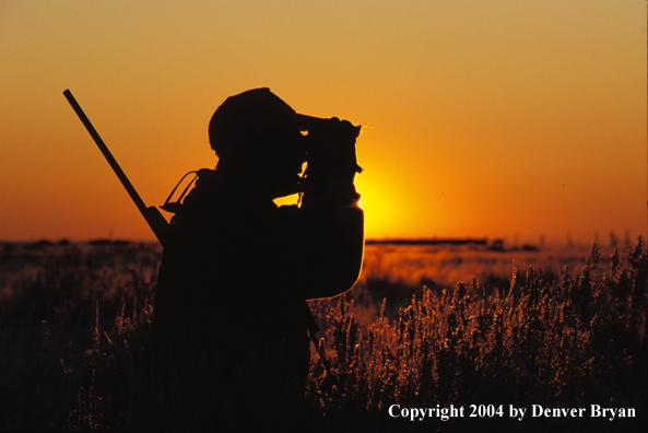 Big game hunter glassing.