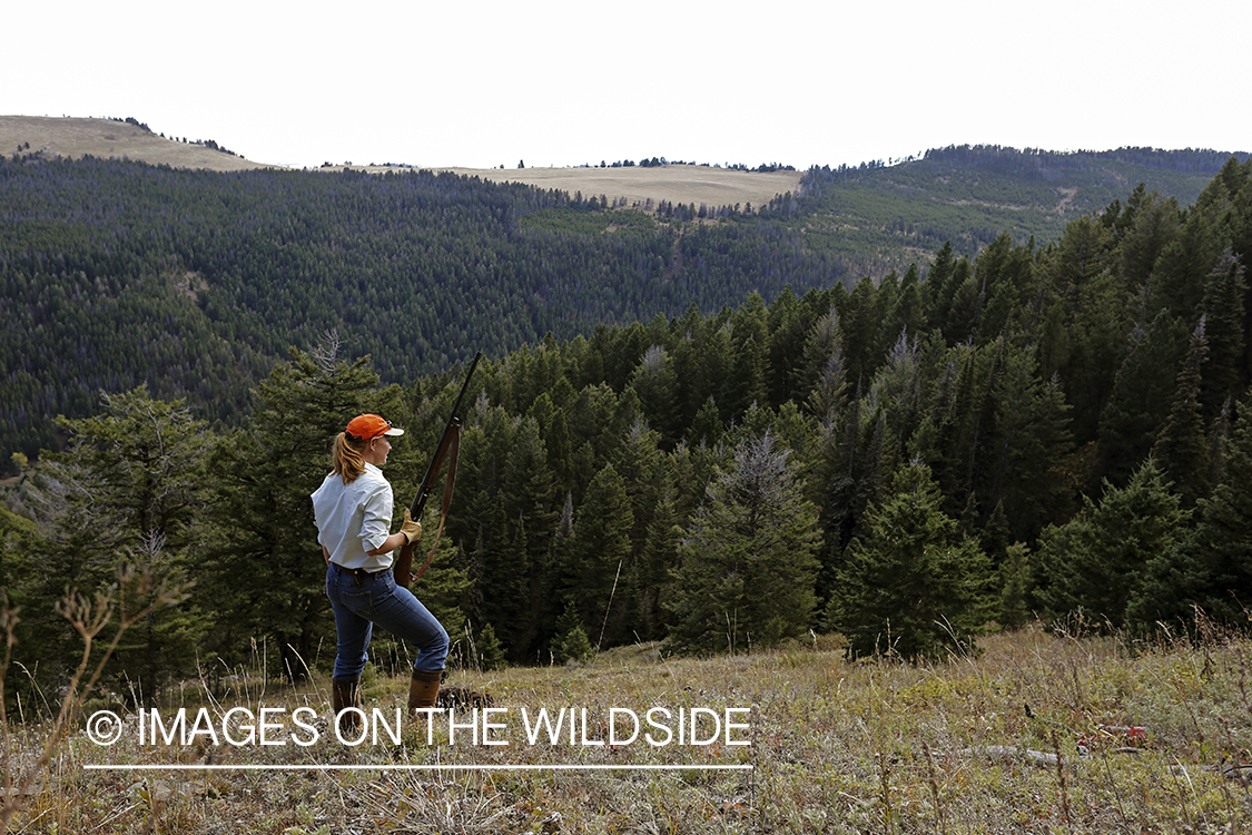 Upland game bird hunter in field hunting Dusky (mountain) grouse.