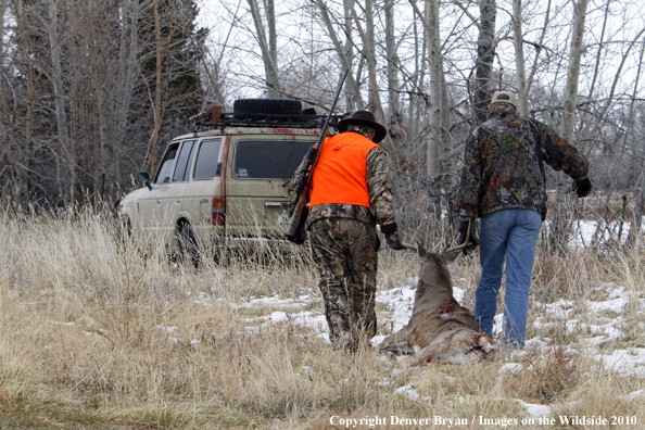 Hunters with downed buck.  