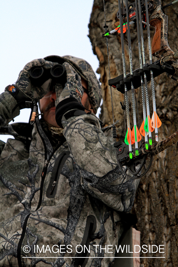 Bowhunter in tree stand glassing.