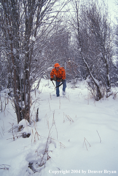 Big game hunter in forest.
