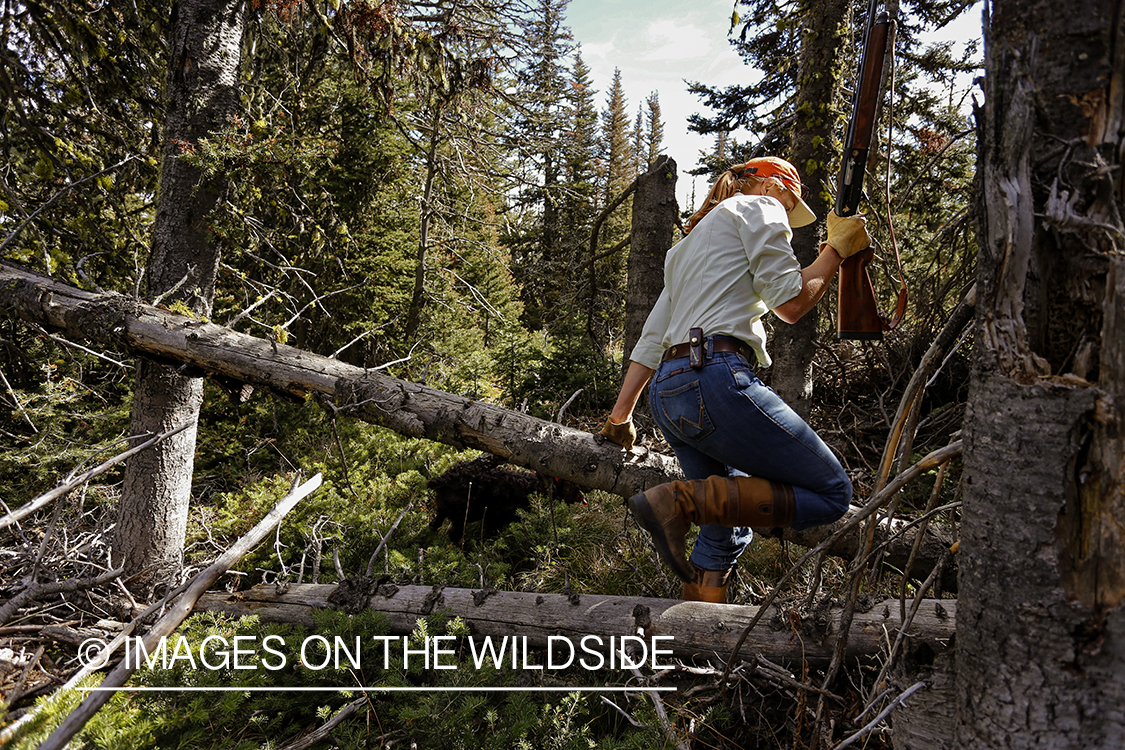 Upland game bird hunter in field hunting Dusky (mountain) grouse.
