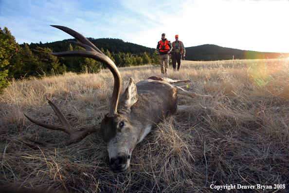 Hunters with Mule Deer