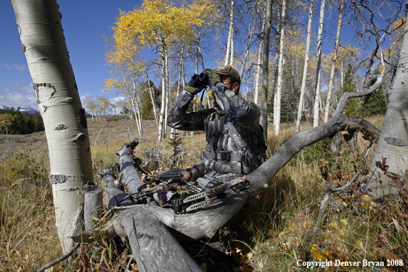 Bow Hunter Scouting For Big Game