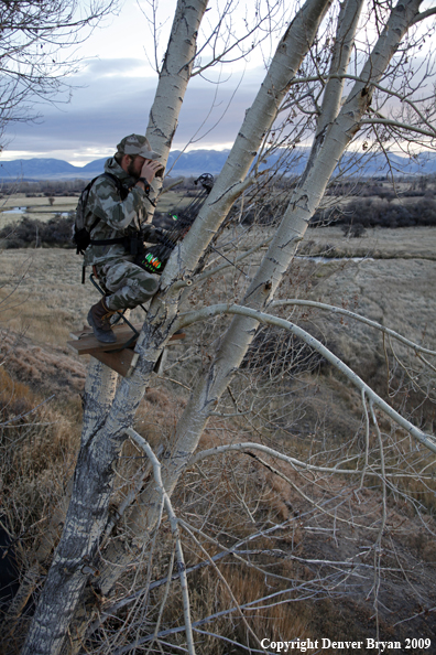 Bowhunter sitting in tree stand.