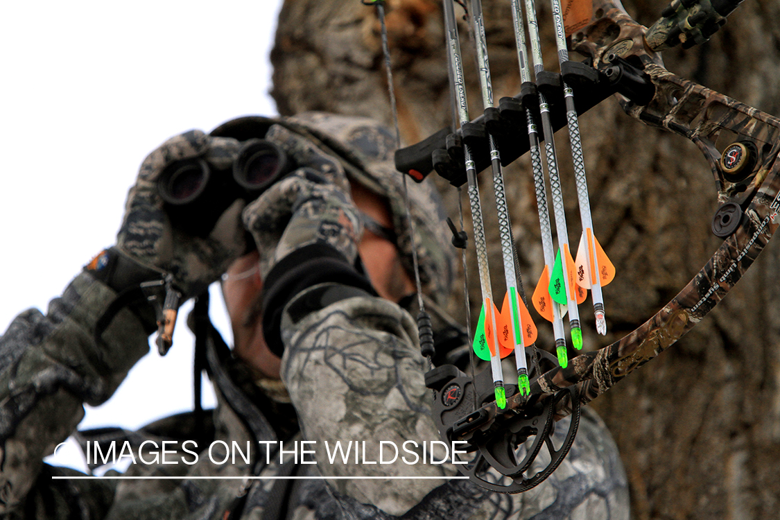 Bowhunter in tree stand glassing.