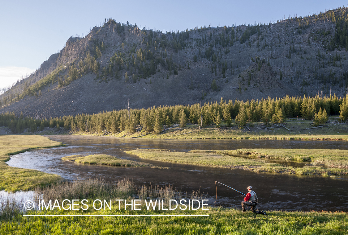 Flyfishing on Madison River, Montana.