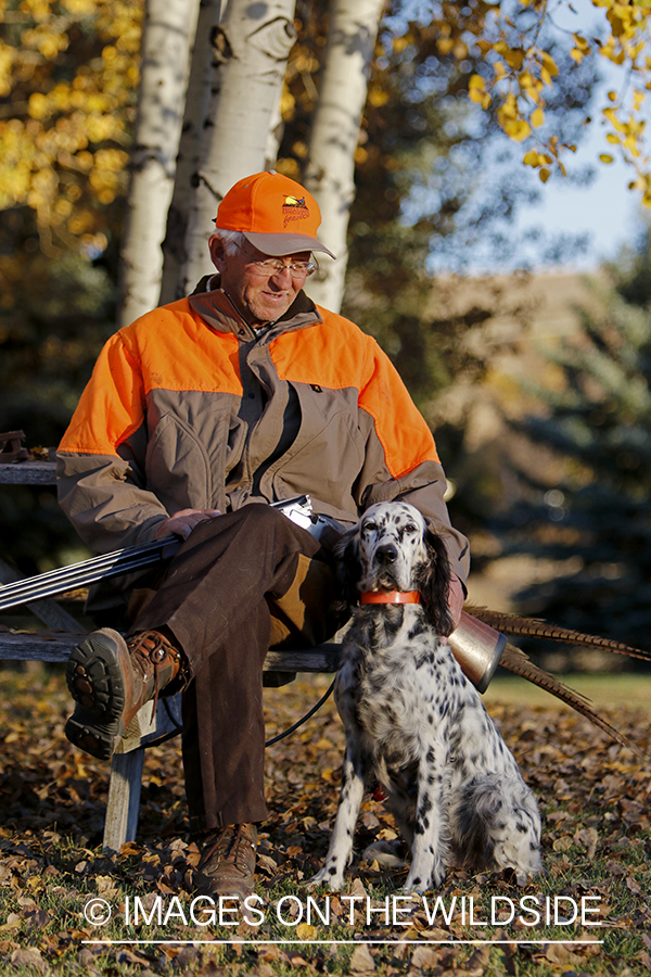 Hunter with English Setter in autumn.