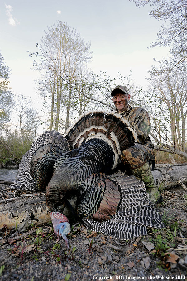 Turkey hunter with bagged turkey.