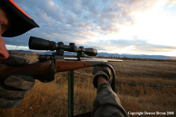 Big Game Hunter in field