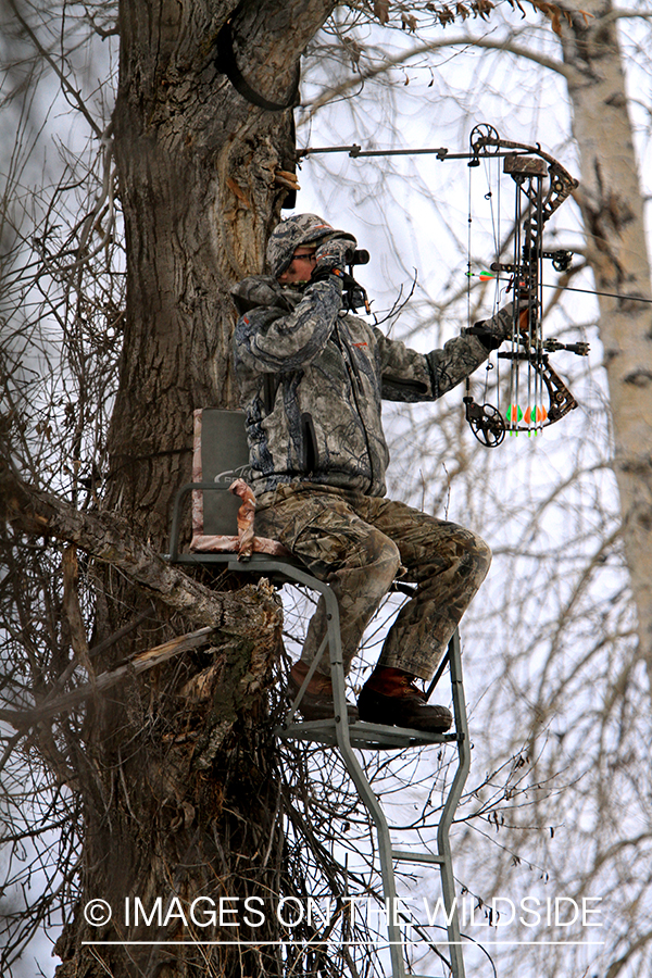 Bowhunter in tree stand glassing.