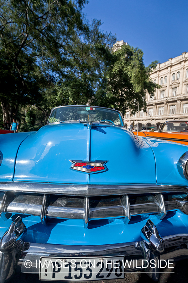 Old car in Havana, Cuba.