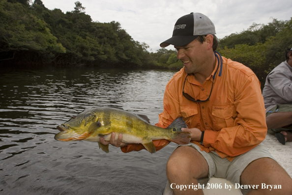 Fisherman holding Peacock Bass